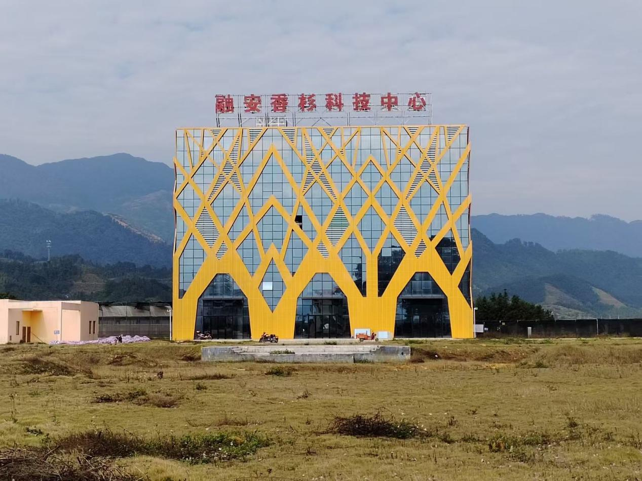 广西融安县西山林场国家杉木良种基地