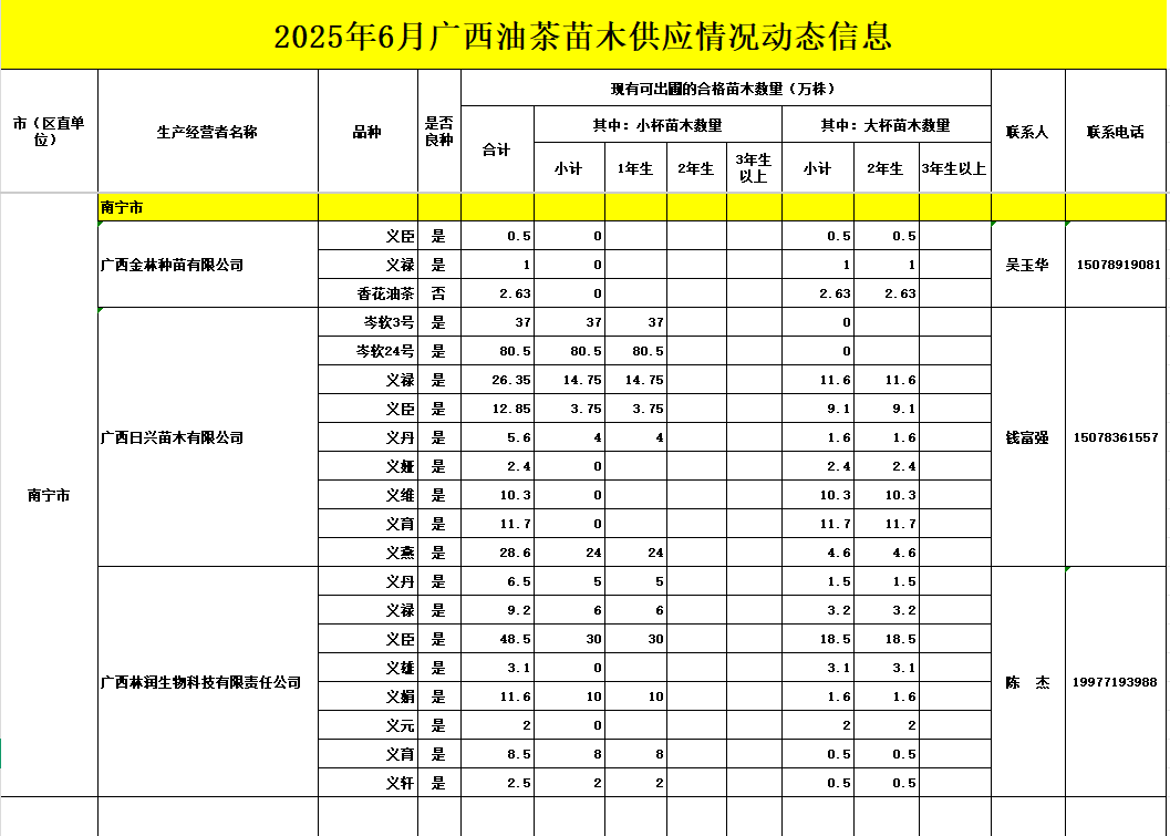 2025年6月最新广西油茶苗木供应情况动态信息来咯