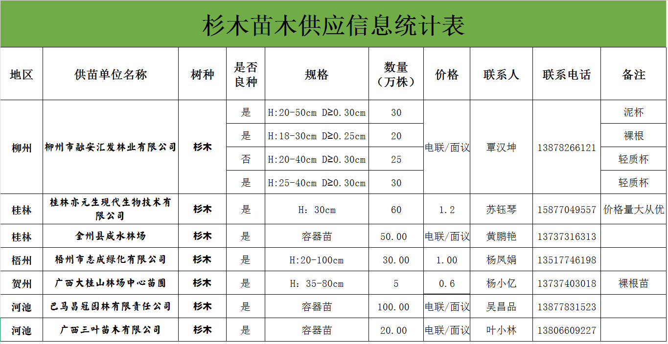 广西杉木苗木供应情况动态信息